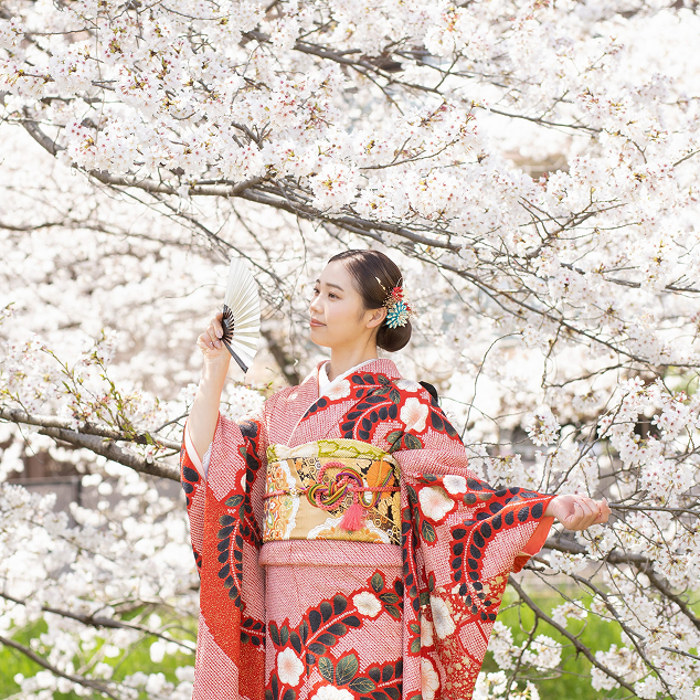 桜の下で振袖を着た成人女性の前撮り写真