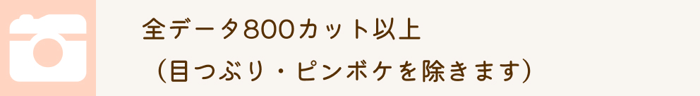 全データ800カット以上（滅ぶり・ピンボケを除きます）