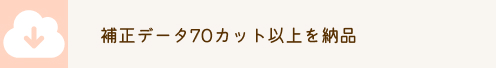 補正データ70カット以上を納品
