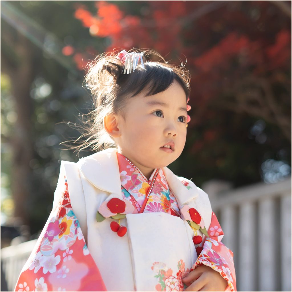被布姿の三歳の女の子を紅葉の中で撮影した七五三写真