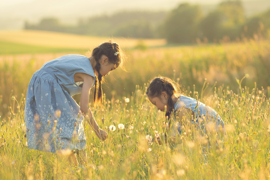 北海道の草原で花を摘む姉妹のロケーションフォト