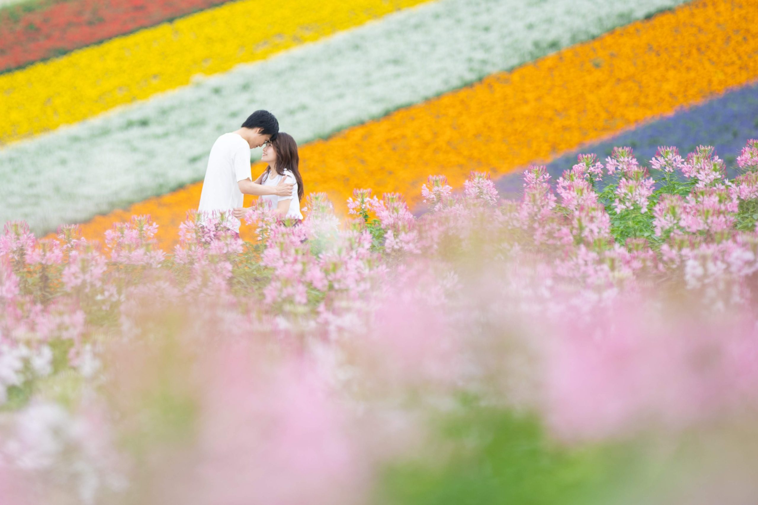 色とりどりの花畑が広がる四季彩の丘でのウエディング前撮りシーン