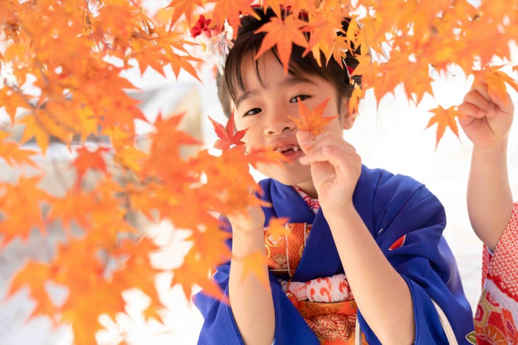 今宮神社 七五三