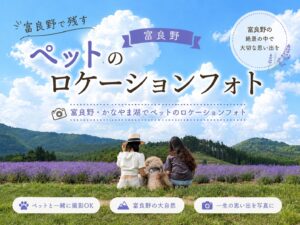 かなやま湖　ロケーション