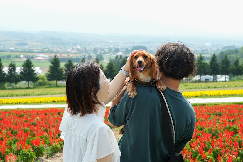 フラワーランドかみふらの 家族