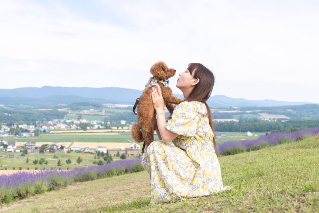 日の出公園 ペット