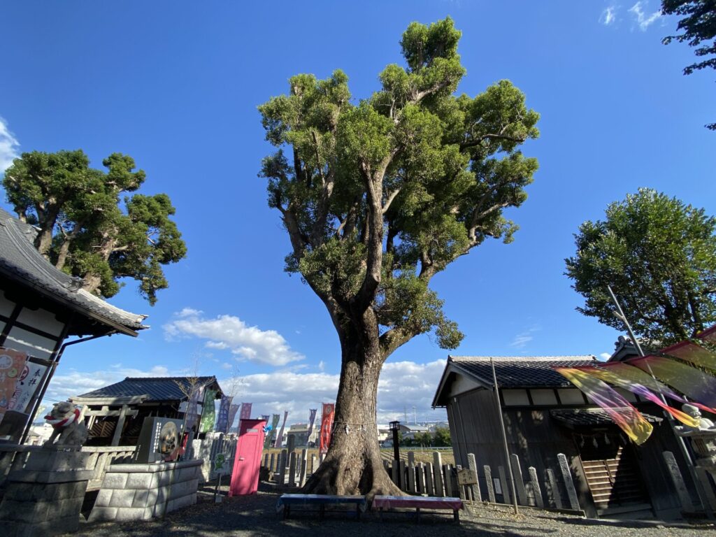 玉田神社　お宮参り